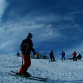 IMG01146